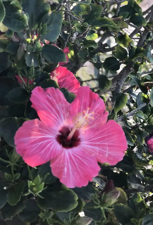 ANAインターコンチネンタル万座ビーチリゾート ダイビングセンター