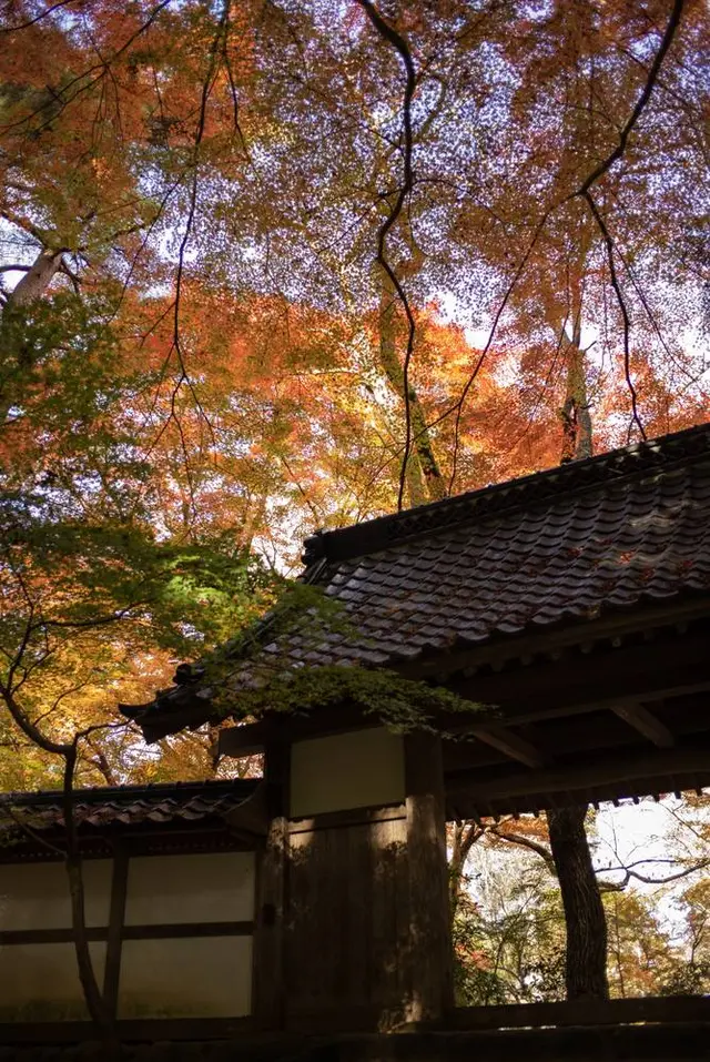 中尊寺
