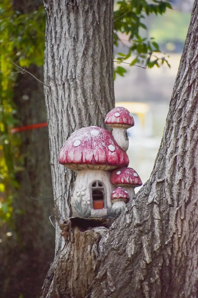 国営昭和記念公園