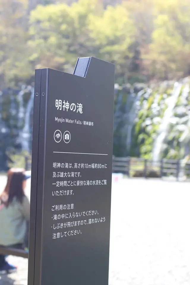山中湖花の都公園