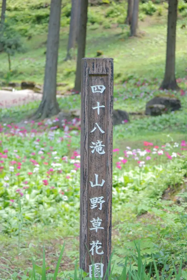 花の森四十八滝山野草花園