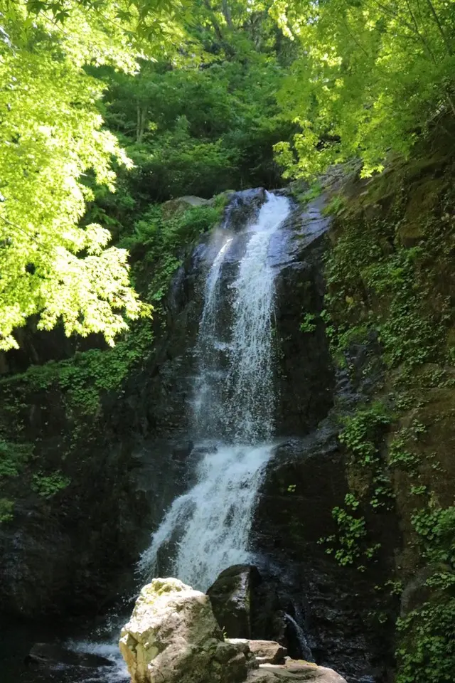 県立自然公園宇津江四十八滝