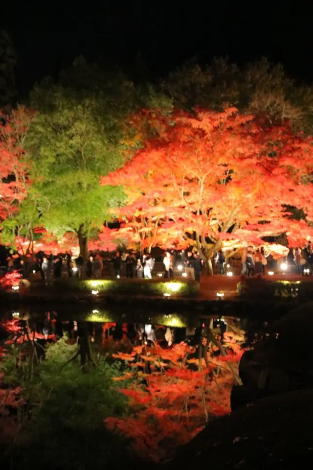 曽木公園