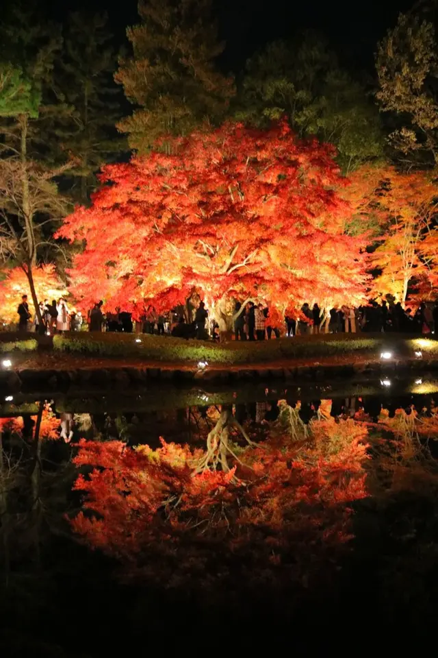 曽木公園