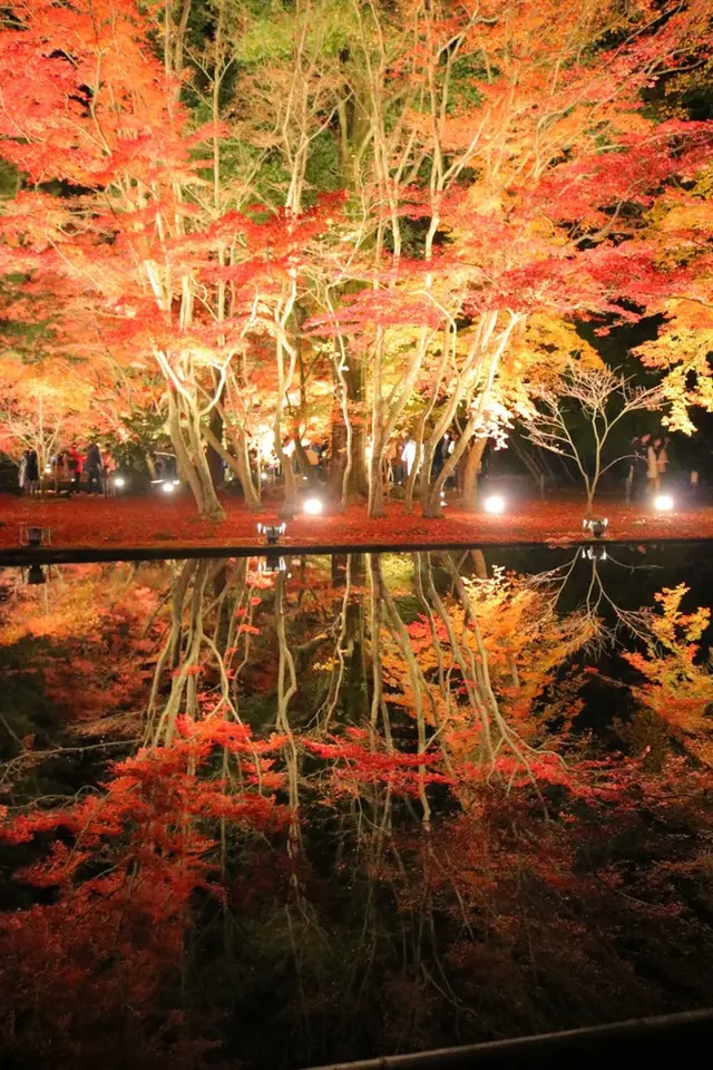 曽木公園
