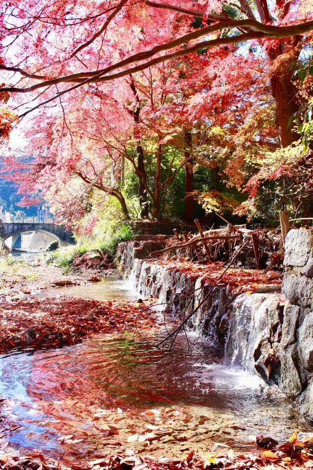 高尾山