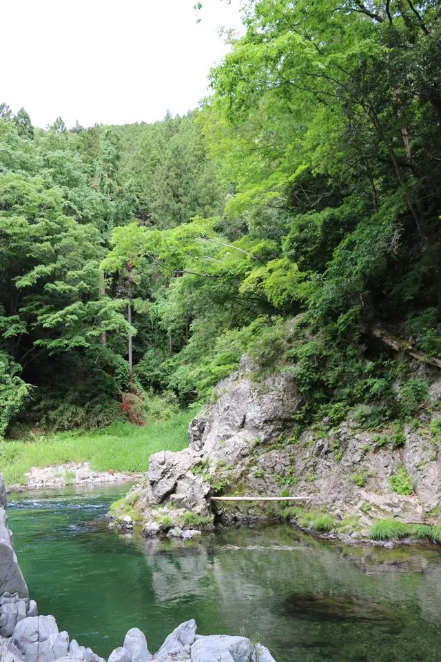清水苑キャンプ場