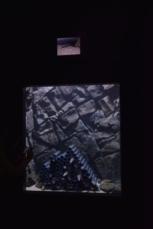 上越市立水族博物館 うみがたり（旧：上越市立水族博物館）