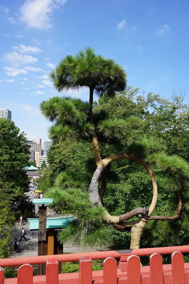 上野恩賜公園（上野公園）