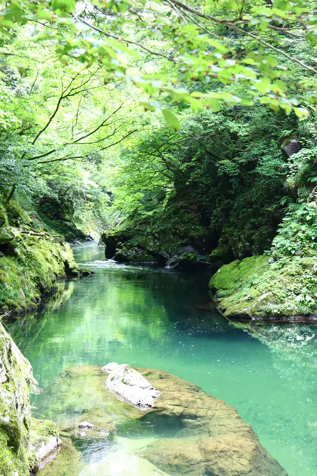 仙見川渓谷