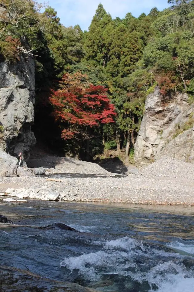 保津川下り
