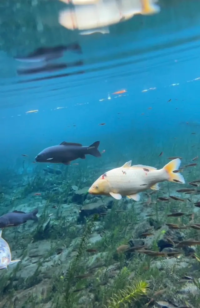 明神池名水公園