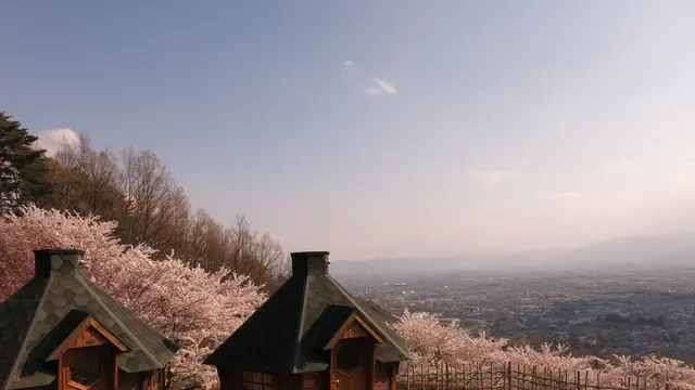 彼方を眺める桜の公園と、入園フリーの動物園!