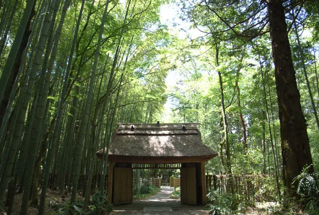 箱根旅行