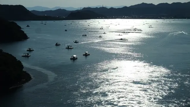 「ポタ初め」は鳴門の渡船巡り♪