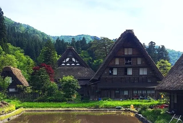 【冬だけじゃない！】夏の白川郷でたっぷり深呼吸の旅