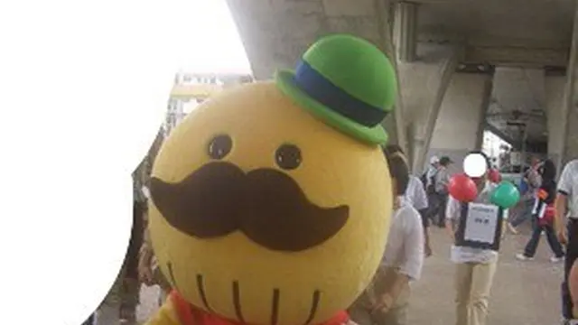 水間鉄道に乗って水間観音さんに会いに行こう