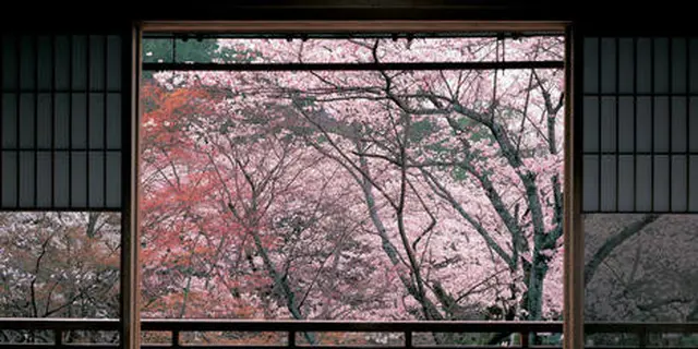【京都】の行きつけの店と歩くところ。今のところ。