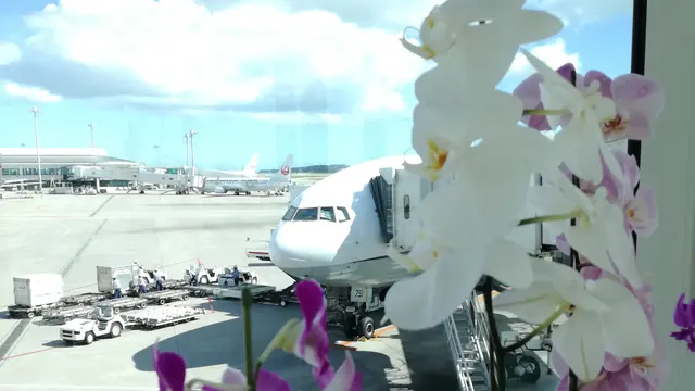 1泊で癒し旅♡週末沖縄堪能プラン。