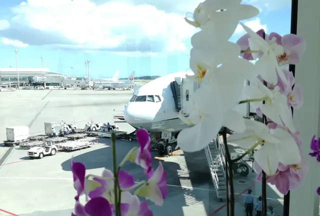 1泊で癒し旅♡週末沖縄堪能プラン。