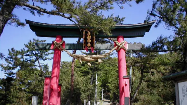【新潟県村上市】ハトを探して港町さんぽ