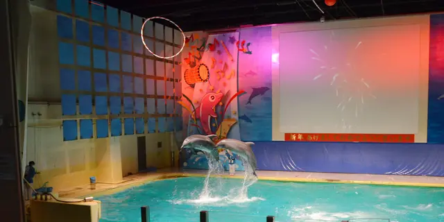 浅虫温泉で水族館＆グルメも堪能しちゃおう！