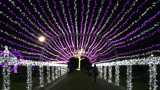 1キロ以上も続く光の道を抜けると…そこはイルミネーションの森だった!