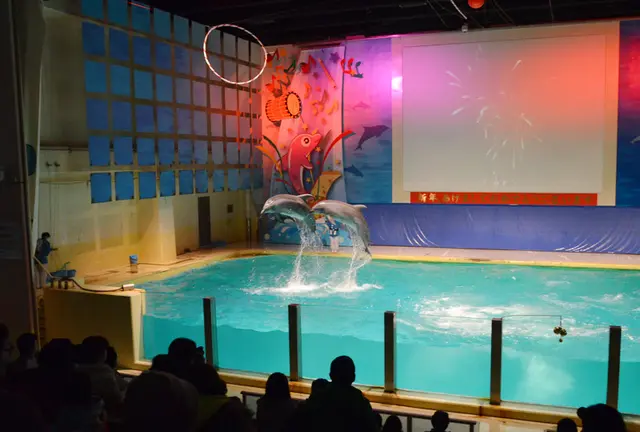 浅虫温泉で水族館＆グルメも堪能しちゃおう！