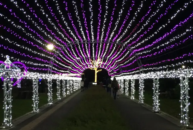 1キロ以上も続く光の道を抜けると…そこはイルミネーションの森だった！