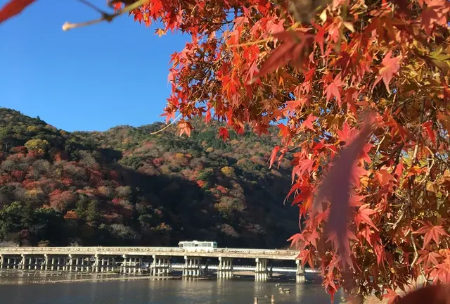 決定版！1泊2日で京都の紅葉を楽しむプラン