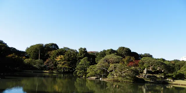 紅葉、天然温泉、牧場グルメ…これ、みん〜な東京の駒込で堪能できるんです！