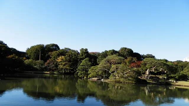 紅葉、天然温泉、牧場グルメ…これ、みん〜な東京の駒込で堪能できるんです!