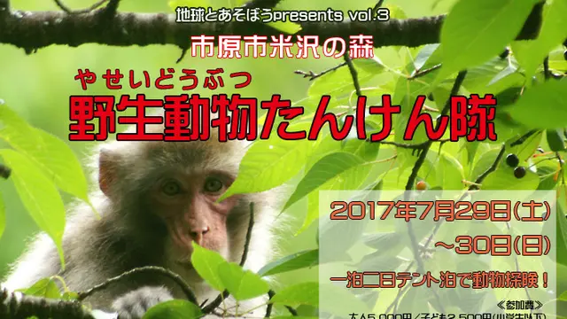野生動物たんけん隊