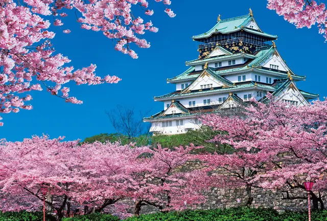 桜🌸の咲く城下町の旅