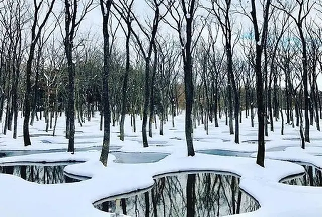 那須の旅