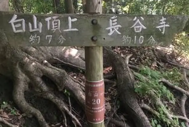 白山ハイキング