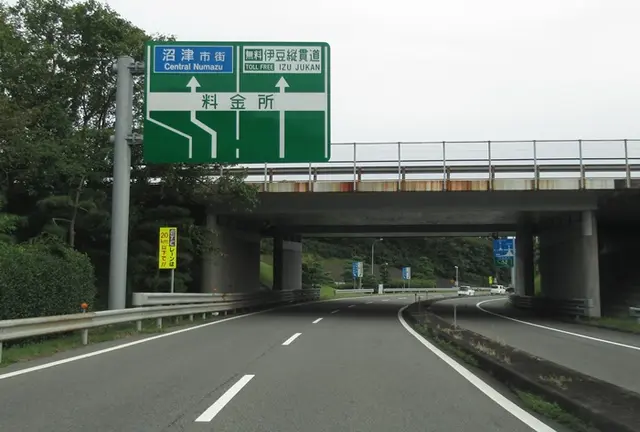 【静岡】夏の伊豆で緑と赤の絶品ぐるめ堪能ツアー🚗³₃