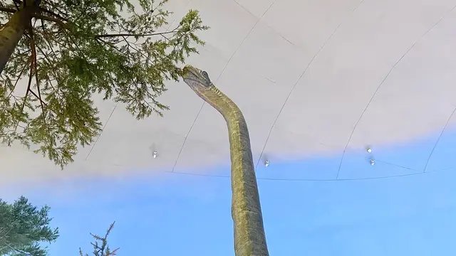 子供と楽しむ！福井旅行