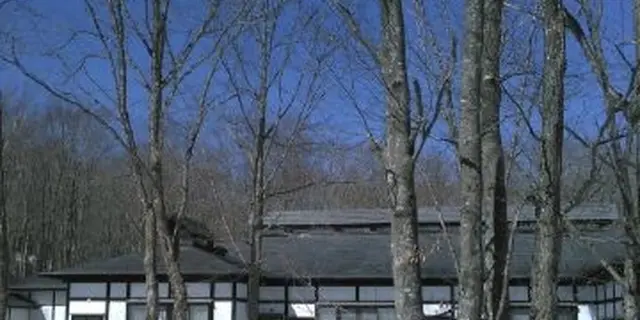 田沢湖界隈、露天風呂からの絶景。グルメを訪ねて、ちょっと寄り道、グルメの小旅（こたび）