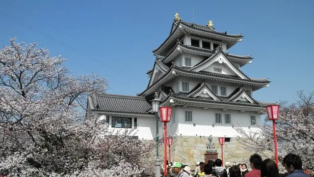 桜の名所!墨俣周辺と羽柴秀吉の一夜城