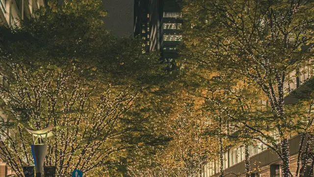 丸の内イルミネーションに行ってみた！