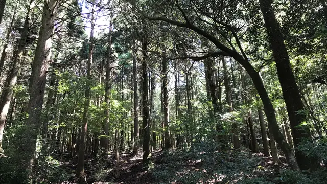 天城を越えて…天城に泊まる！