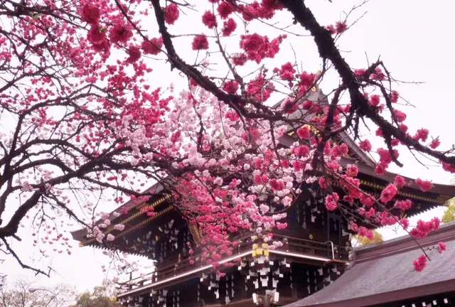 愛知県一宮市♪真清田神社祭礼と”古きよき時代の建物”を訪ねて…！