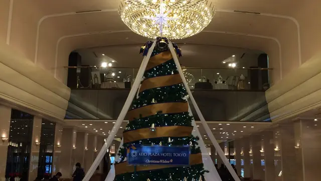 新宿の大きなクリスマスツリーを見に行く