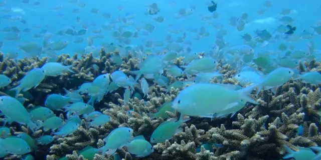 渡嘉敷島で夏を先取り！