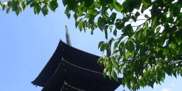 京都、東寺で楽しいお参りを…！