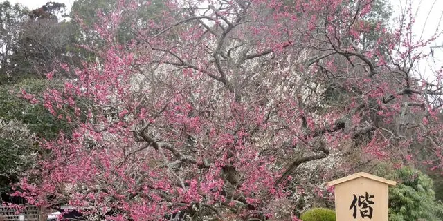 水戸