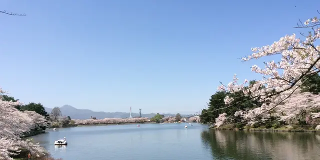 盛岡の国道4号線沿いにある高松の池で散策