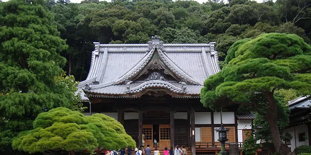 富士山を観覧と修善寺に初詣