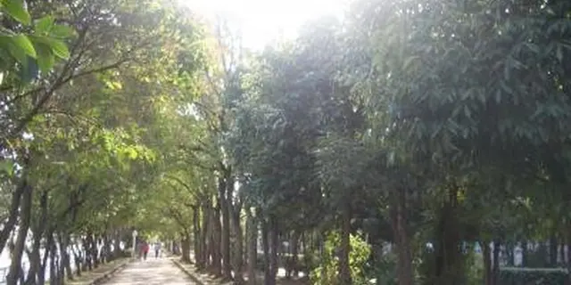 佃煮・君が代発祥のまち大阪市西淀川区。